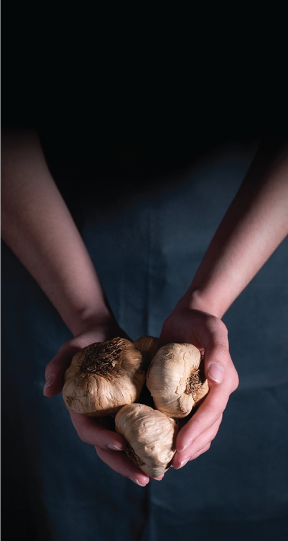 BLACK GARLIC (FERMENTED) - Your superfood in a jar